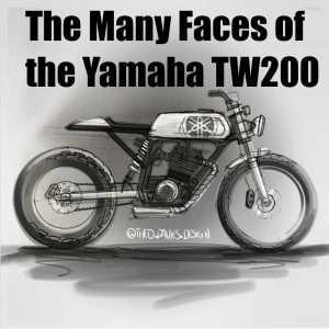 ManyFacesTW200